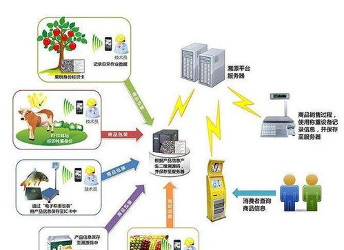 「码」上知道 唐山香宇肉制品全程溯源入“云”，揭秘真正安全品质